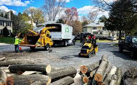 Lawn Pest Prevention in Oakland, SC
